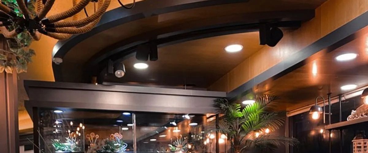 Foto - Viv City Hotel