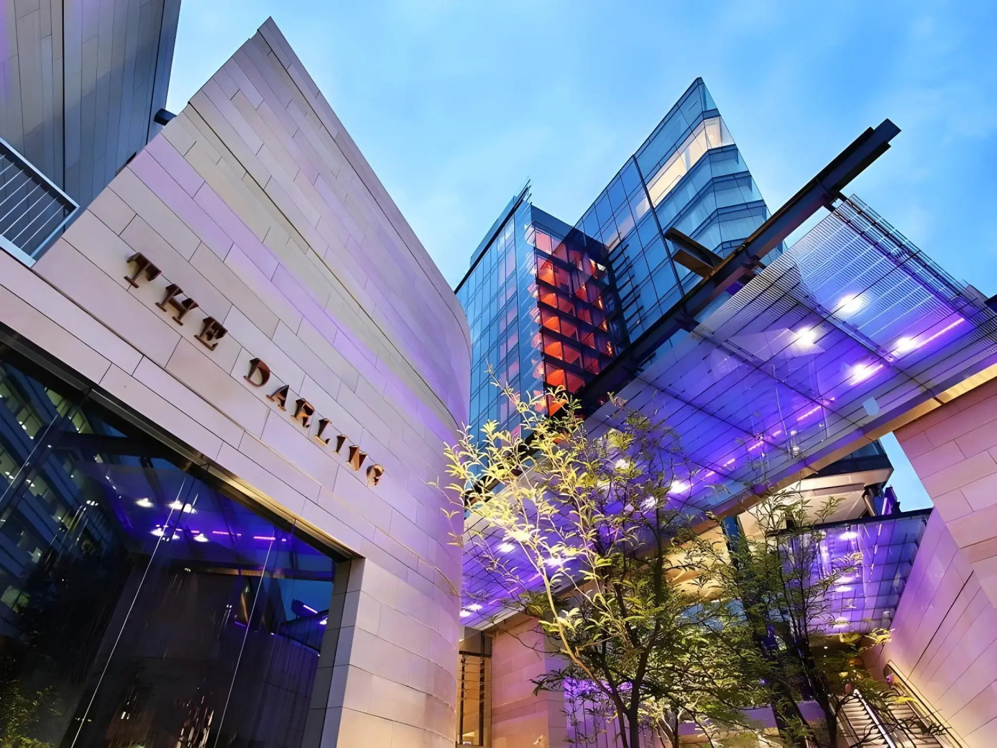 Photo - The Darling at The Star