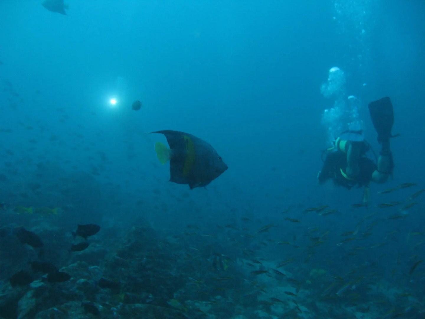 Foto - Djibouti Palace Kempinski