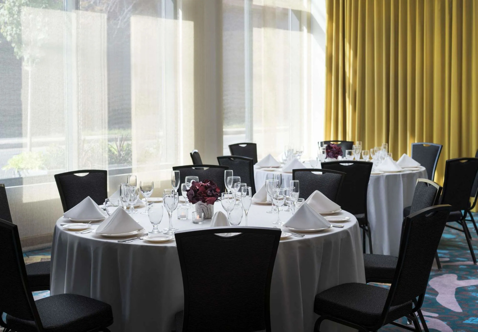 Photo - Residence Inn by Marriott Boston Watertown