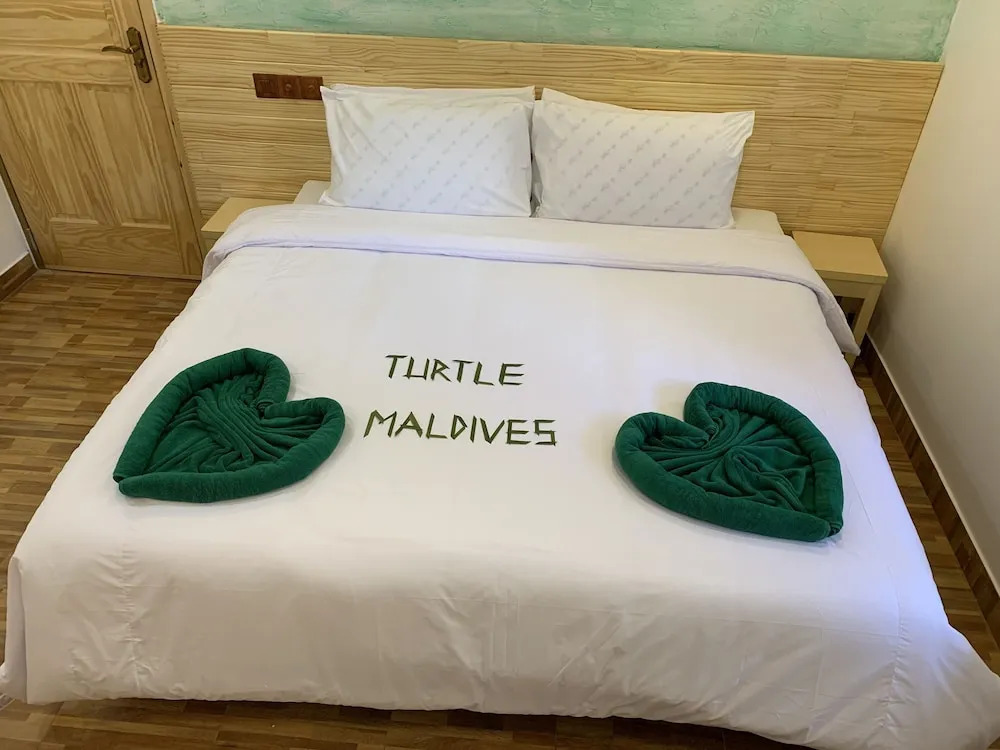 Photo - Turtle Maldives - Your Gateway to the Beach & Marine Adventures Await!