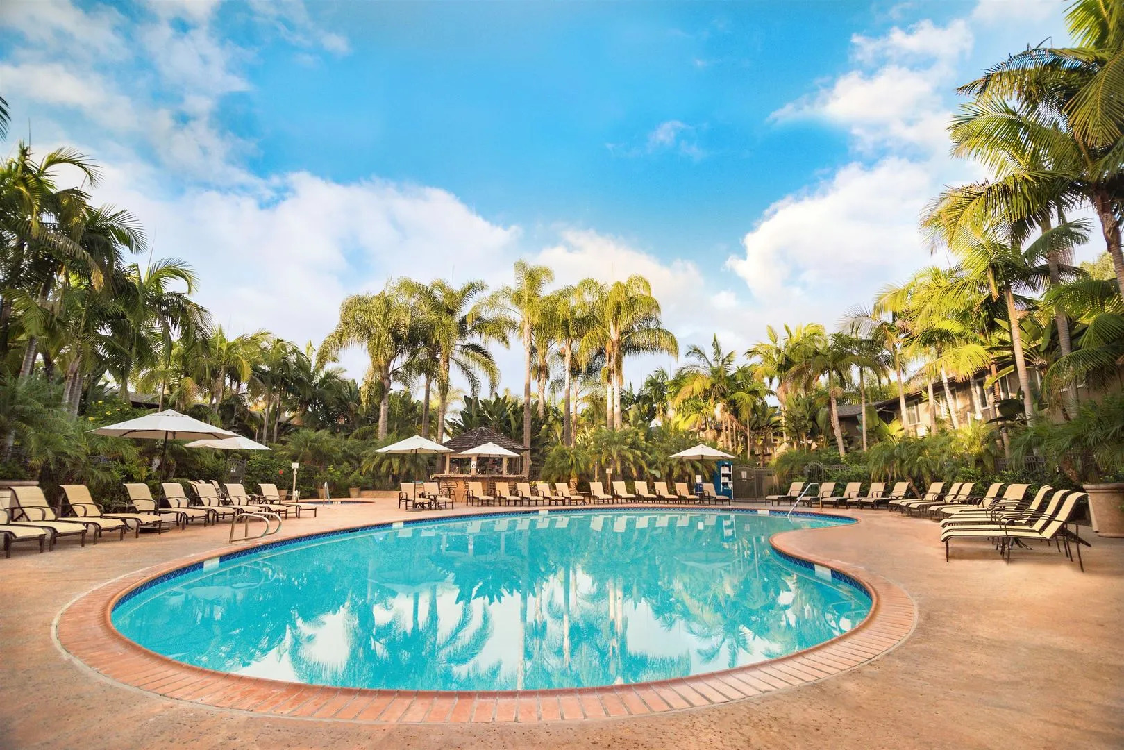 Foto - The Dana On Mission Bay