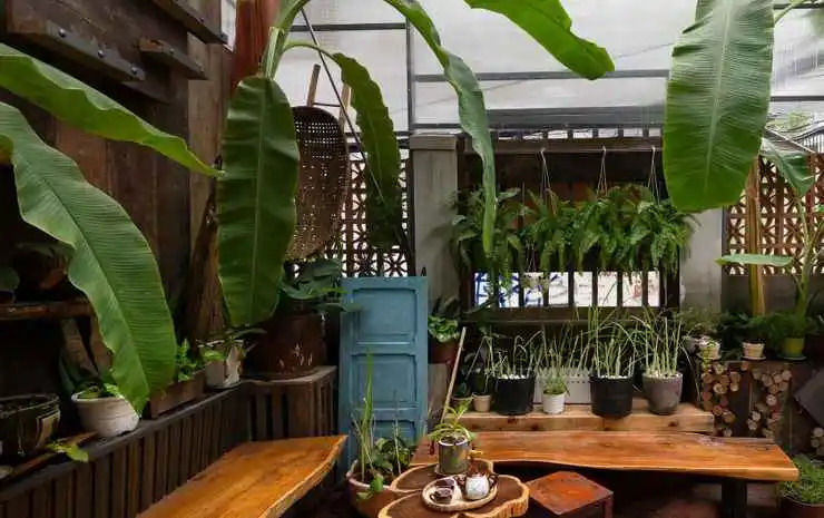 Foto - Coucou Homestead I - Homestay & Dorm District 1