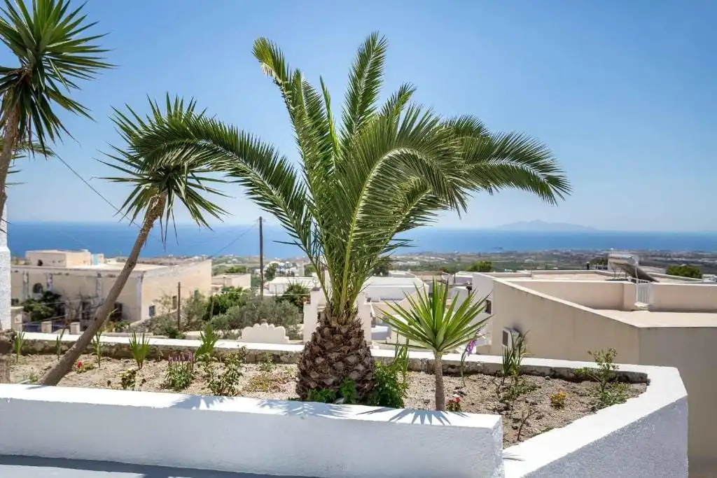 Foto - Aigli Villa