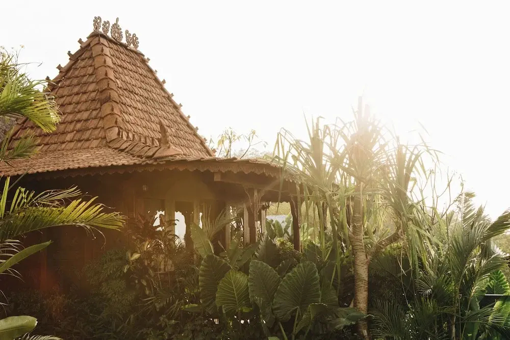 Photo - White Tortoise Eco Villa's