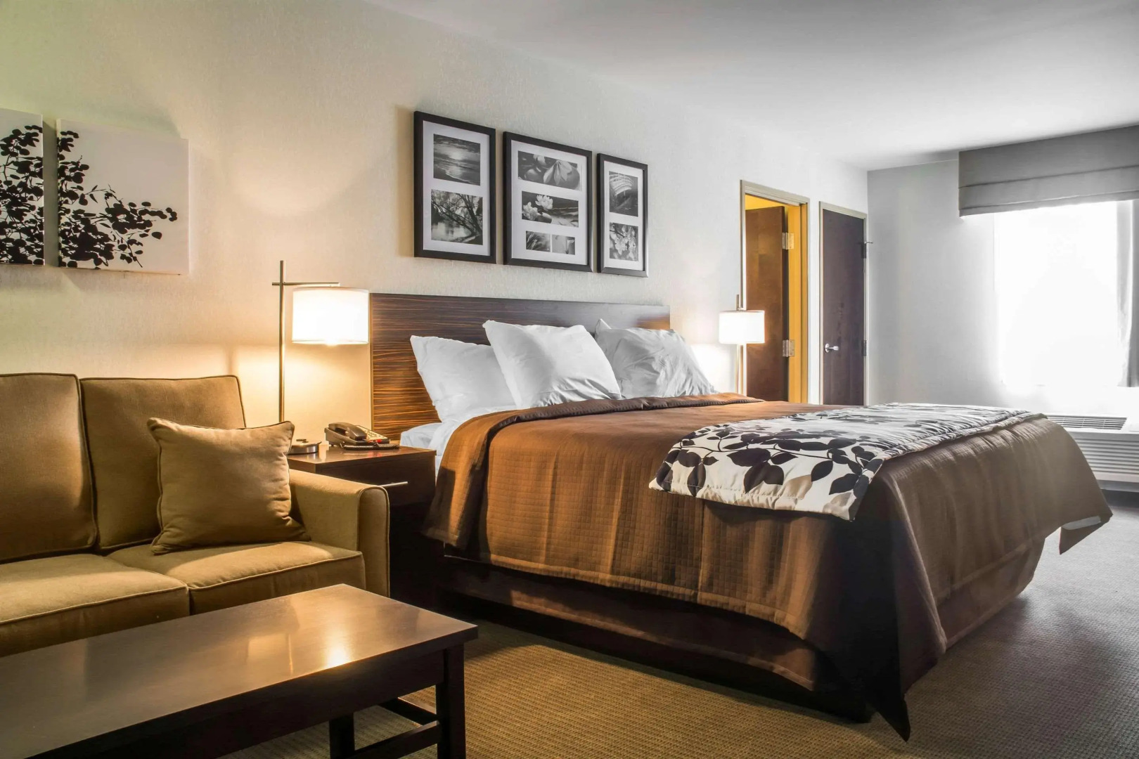 Photo - Sleep Inn & Suites Syracuse Airport