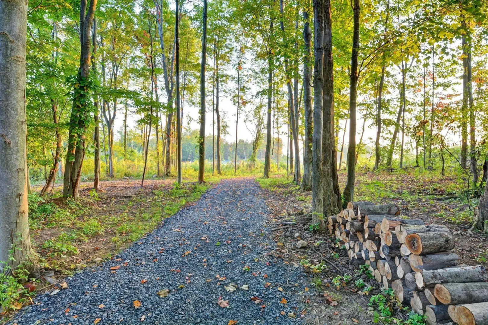 Photo - Homewood Suites by Hilton New Hartford Utica