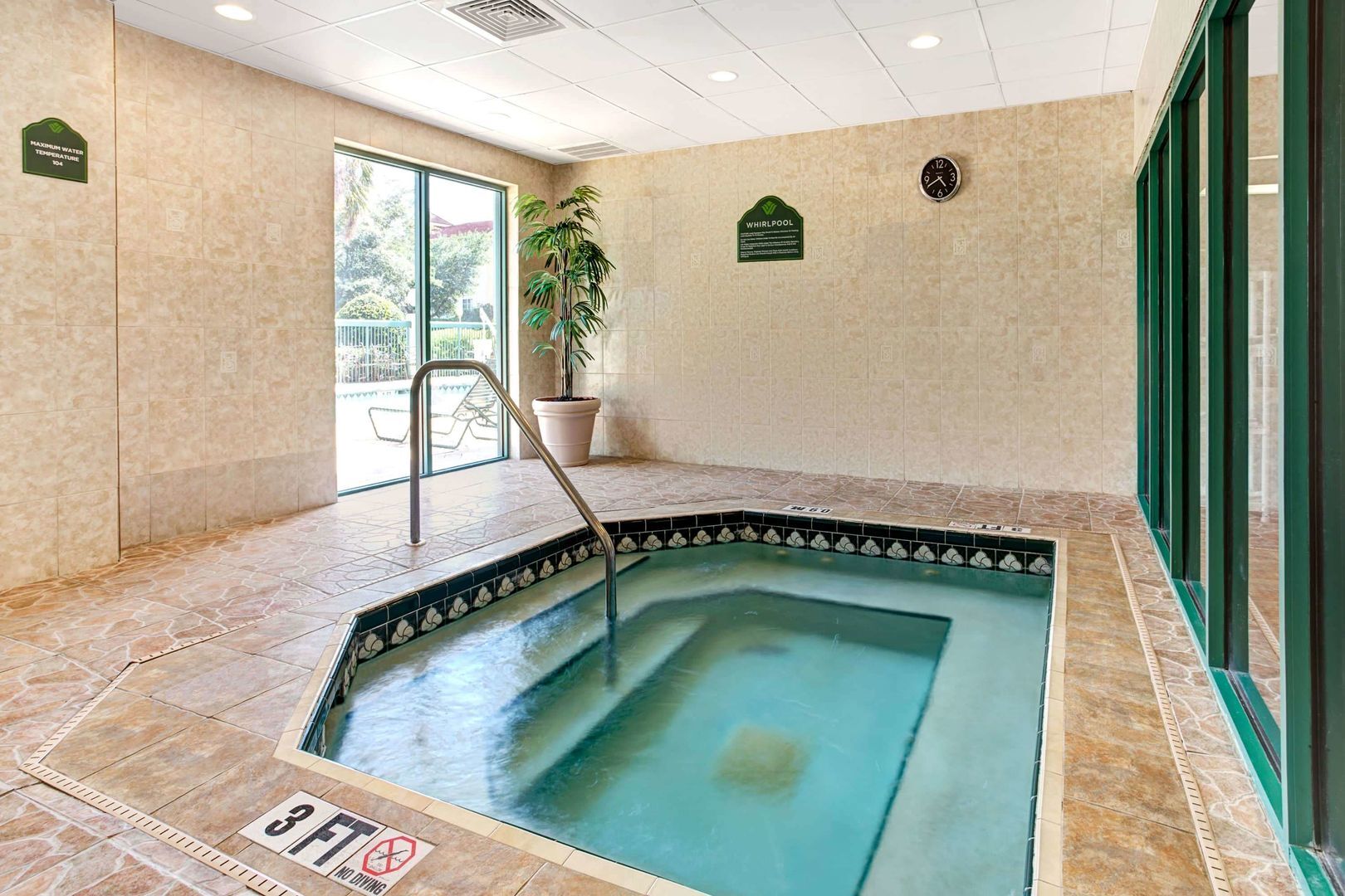 Foto - Holiday Inn - Tampa North by IHG