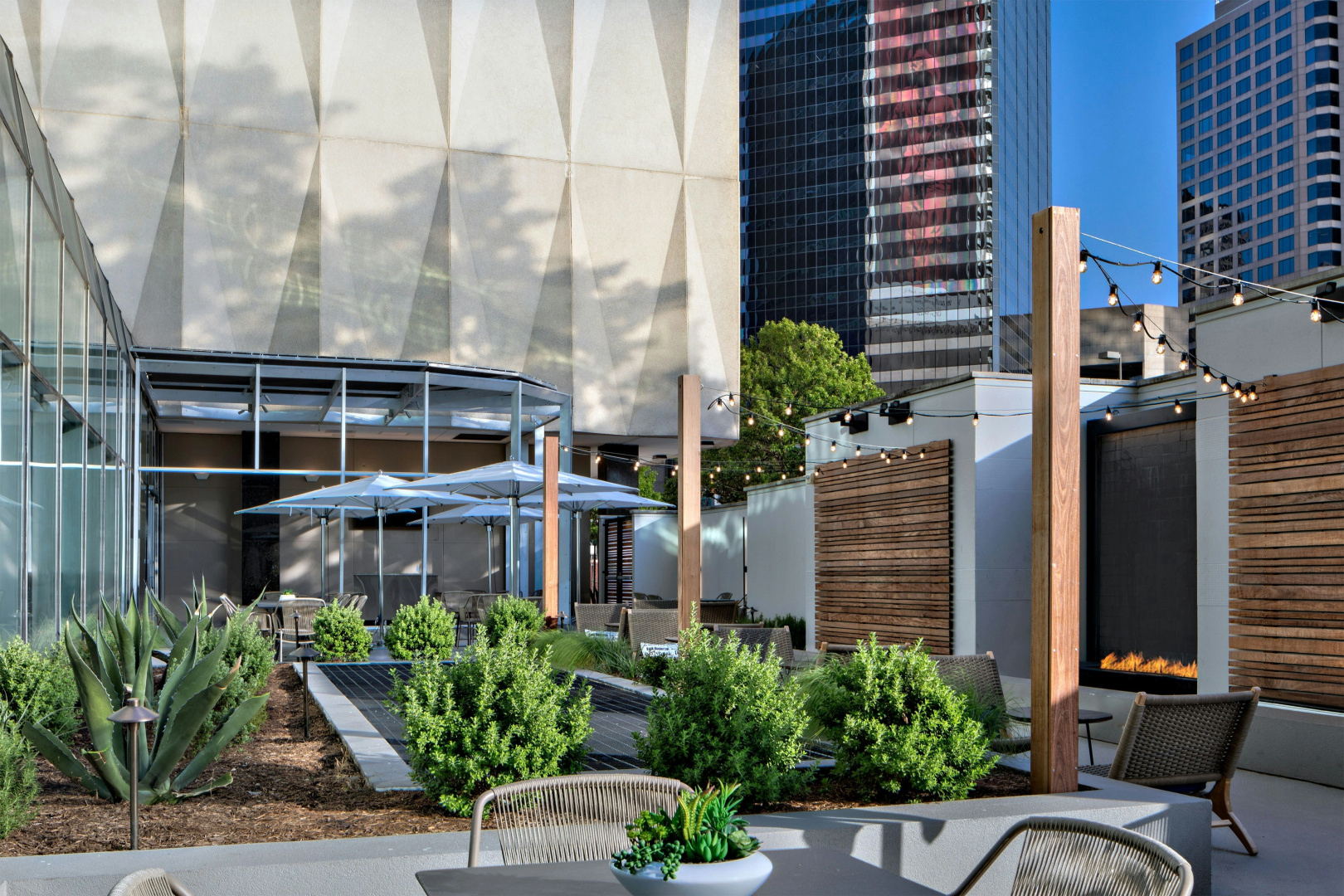 Foto - Sheraton Dallas Hotel