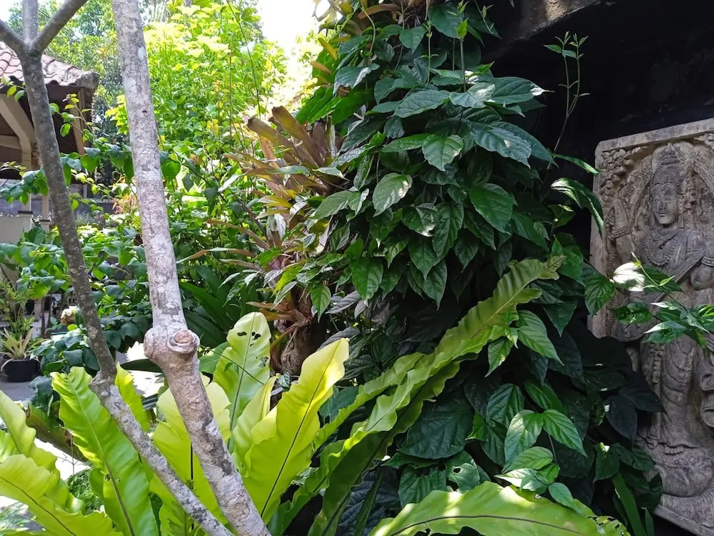 Foto - Sari Gong Guest House, A Trishula Collection