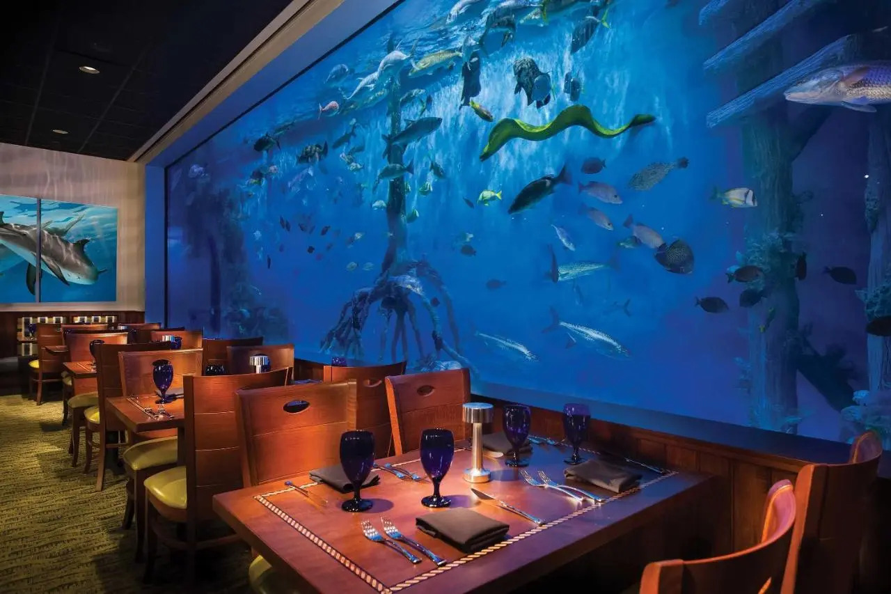 Foto - RumFish Beach at TradeWinds