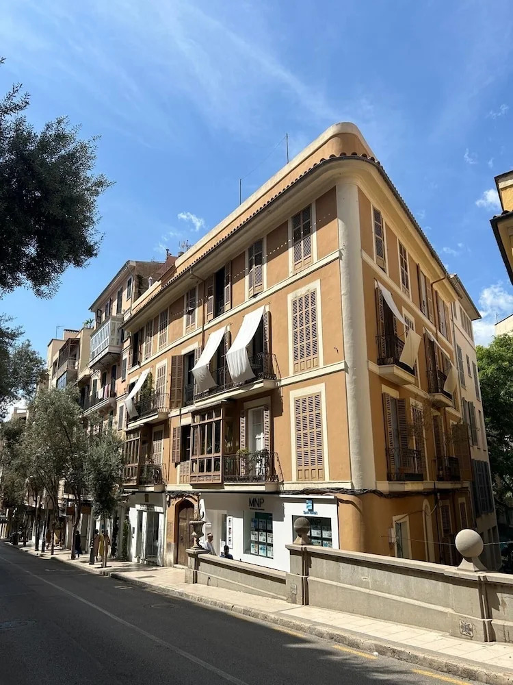 Photo - Dog Admiral - Urban Guest House