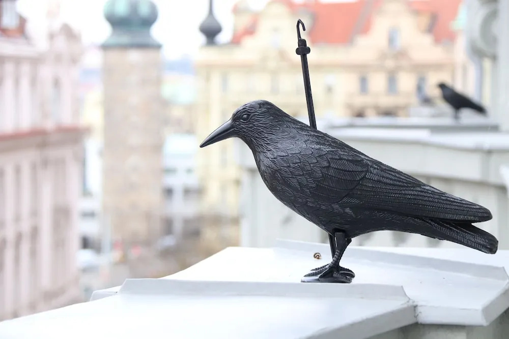 Foto - Flowers apartments