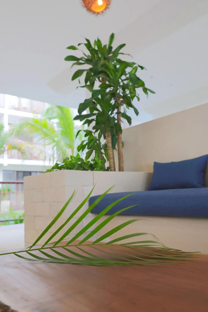 Photo - Hotel Blanco Tulum Adults Only