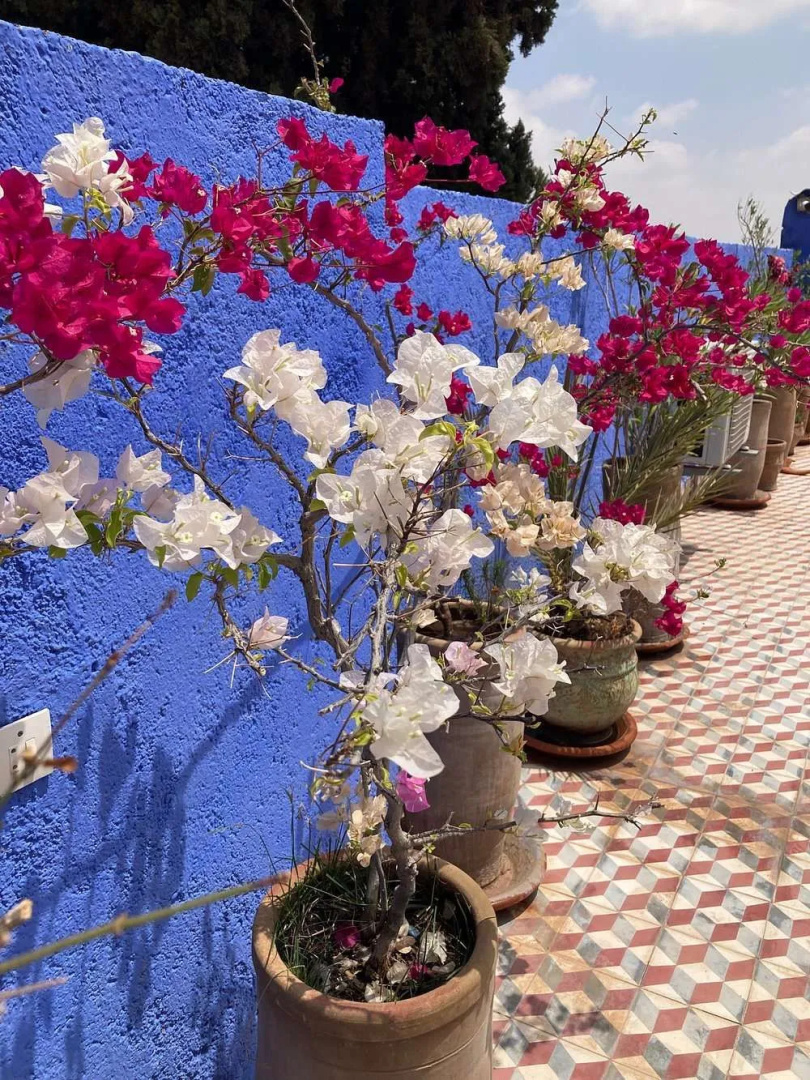 Foto - Riad Raffaa
