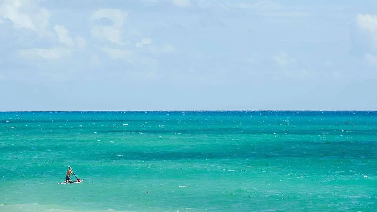 Foto - Devossion By Live Aqua Playa del Carmen All Inclusive - Adults Only