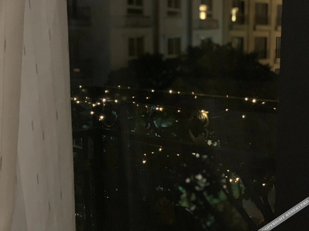 Foto - The Royal Homies - Phu My Hung