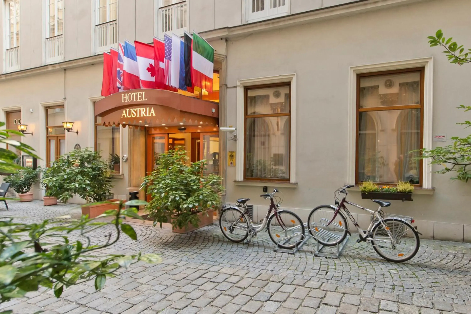 Photo - Hotel Austria
