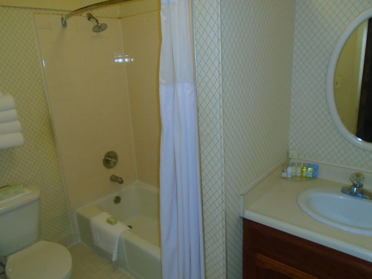 Foto - Stanyan Park Hotel