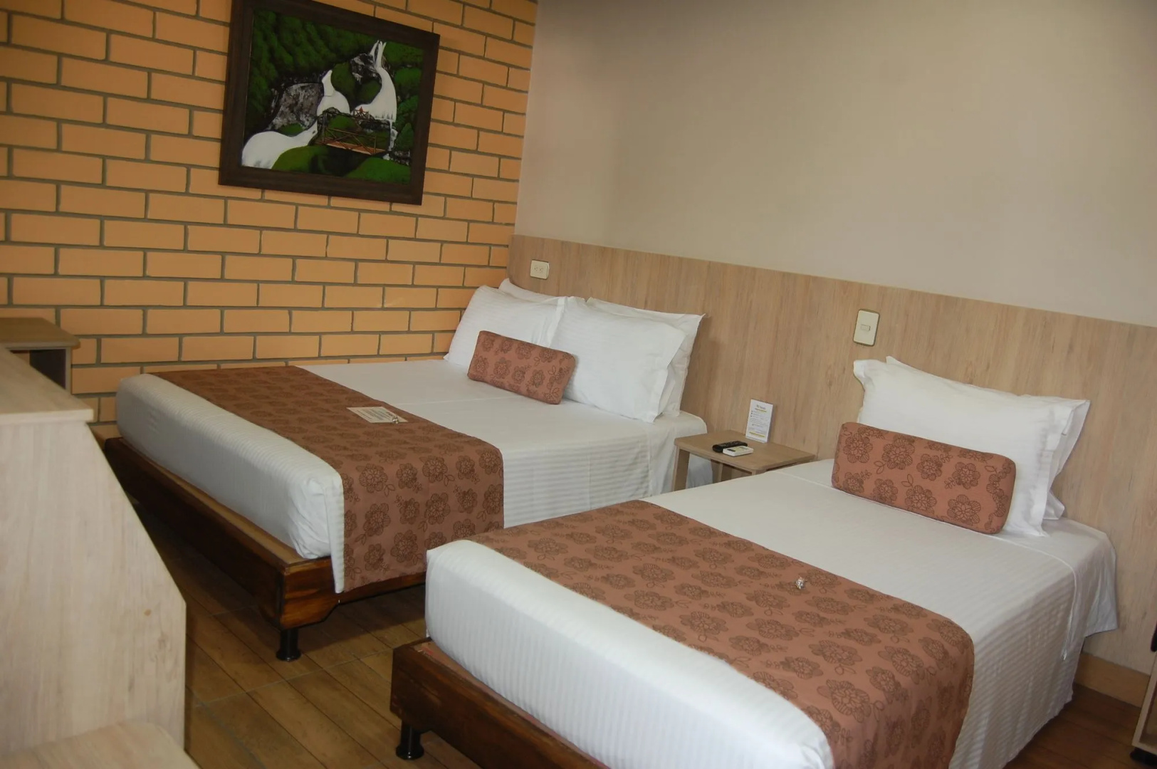 Foto - Hotel Provenza Garden