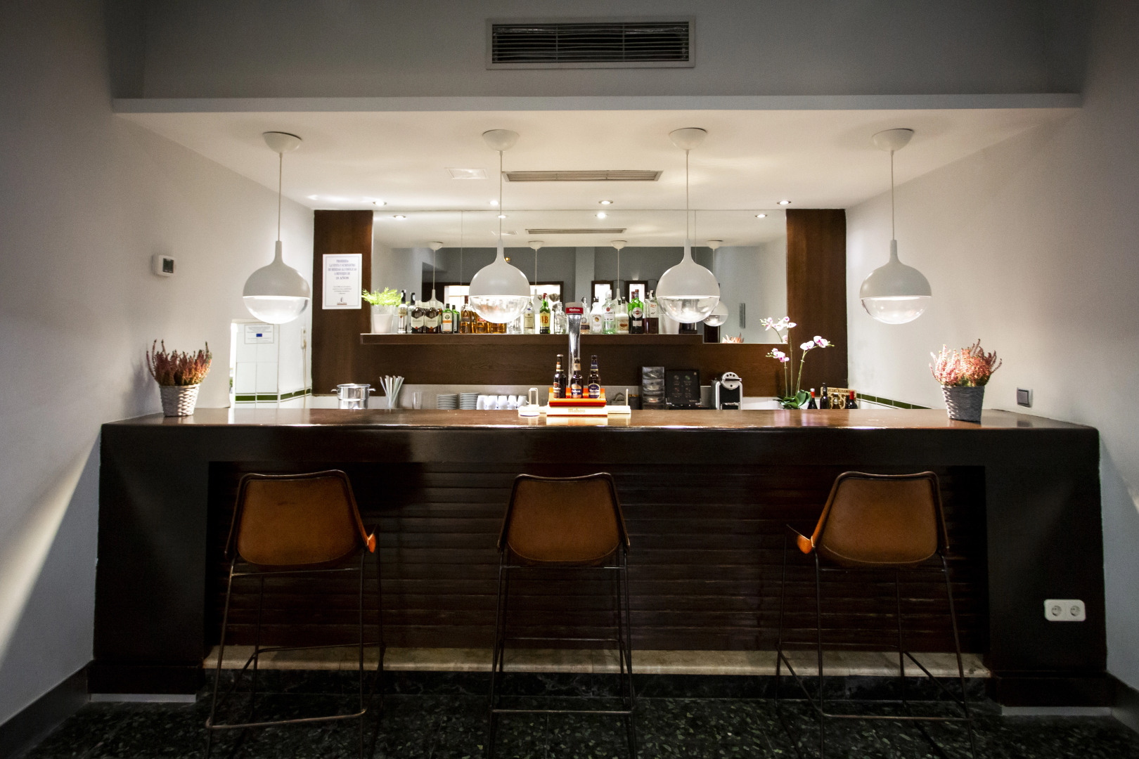 Foto - Hotel Pax Guadalajara