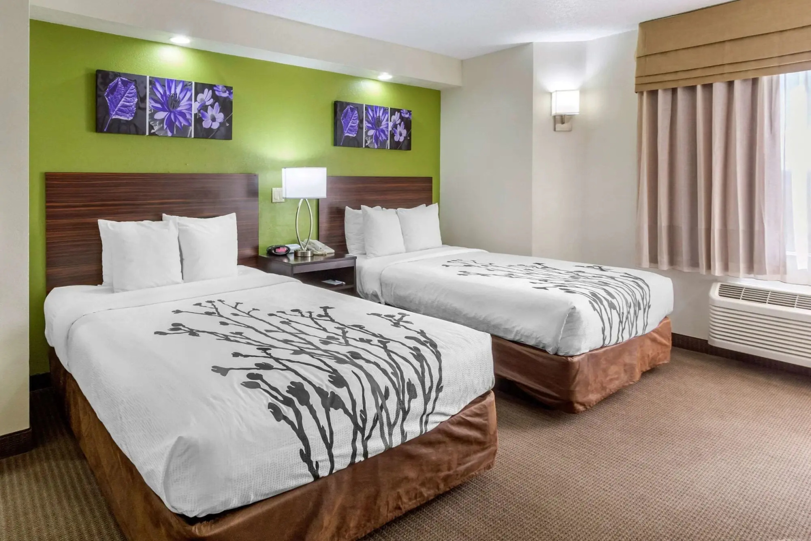 Foto - Sleep Inn near Busch Gardens - USF