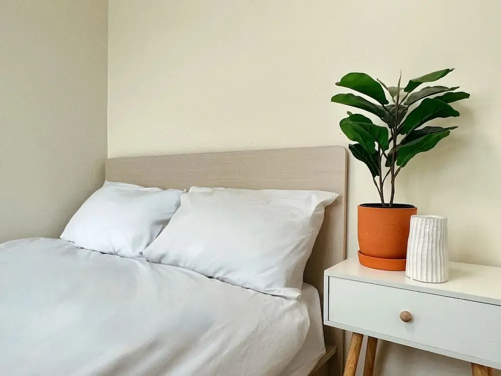 Photo - Jnineguesthouse