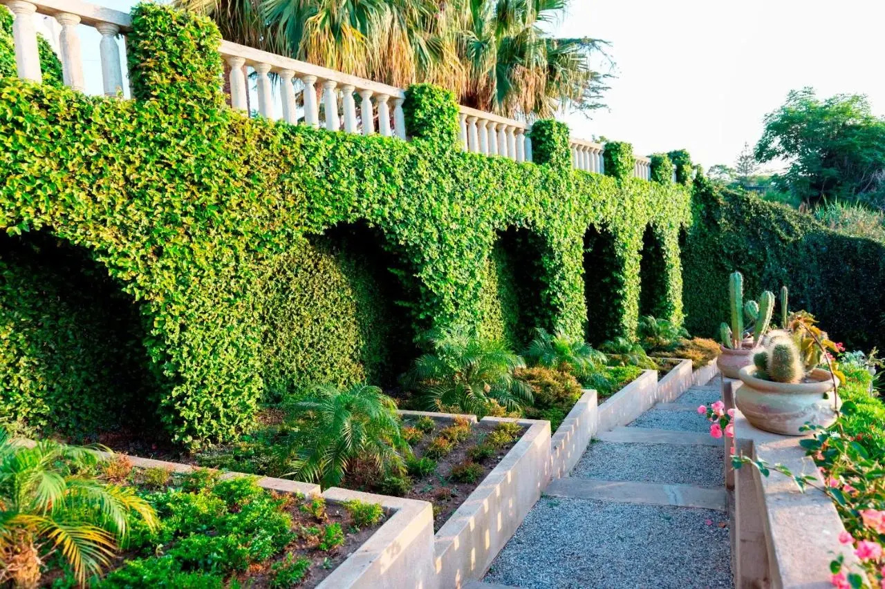 Foto - Villa Paola