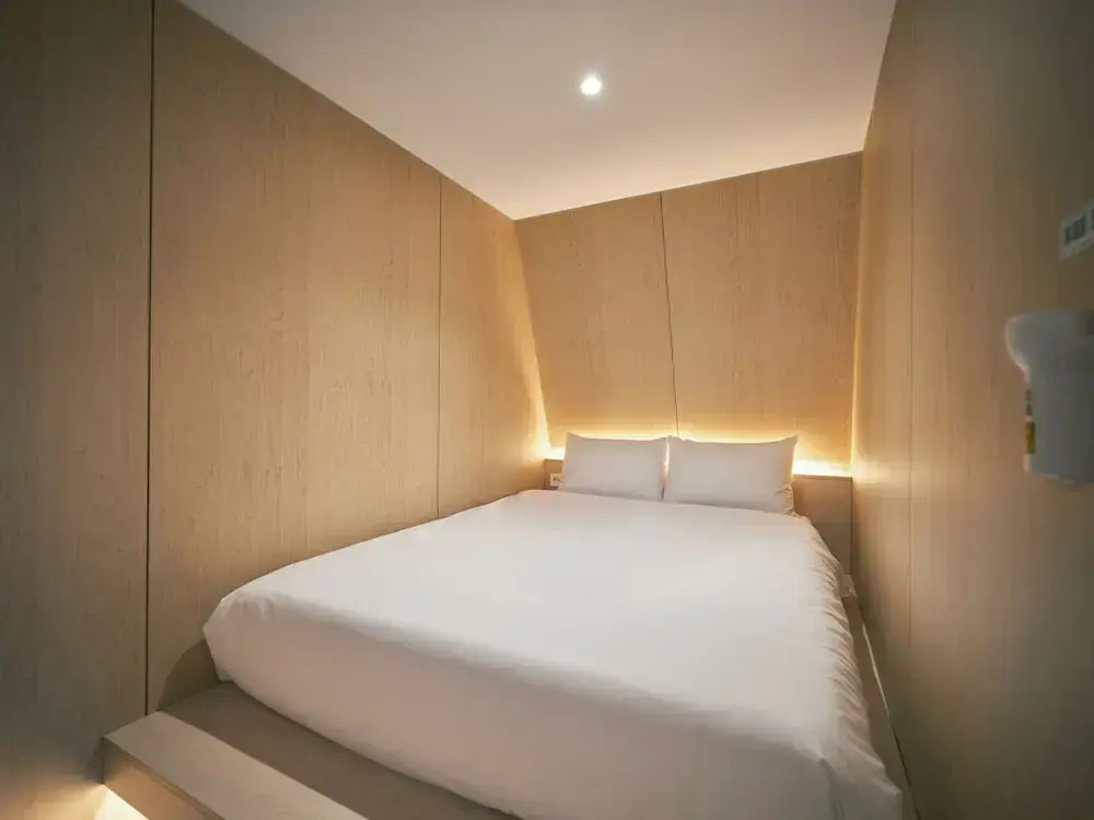 Foto - Dandelion Sinsa 1