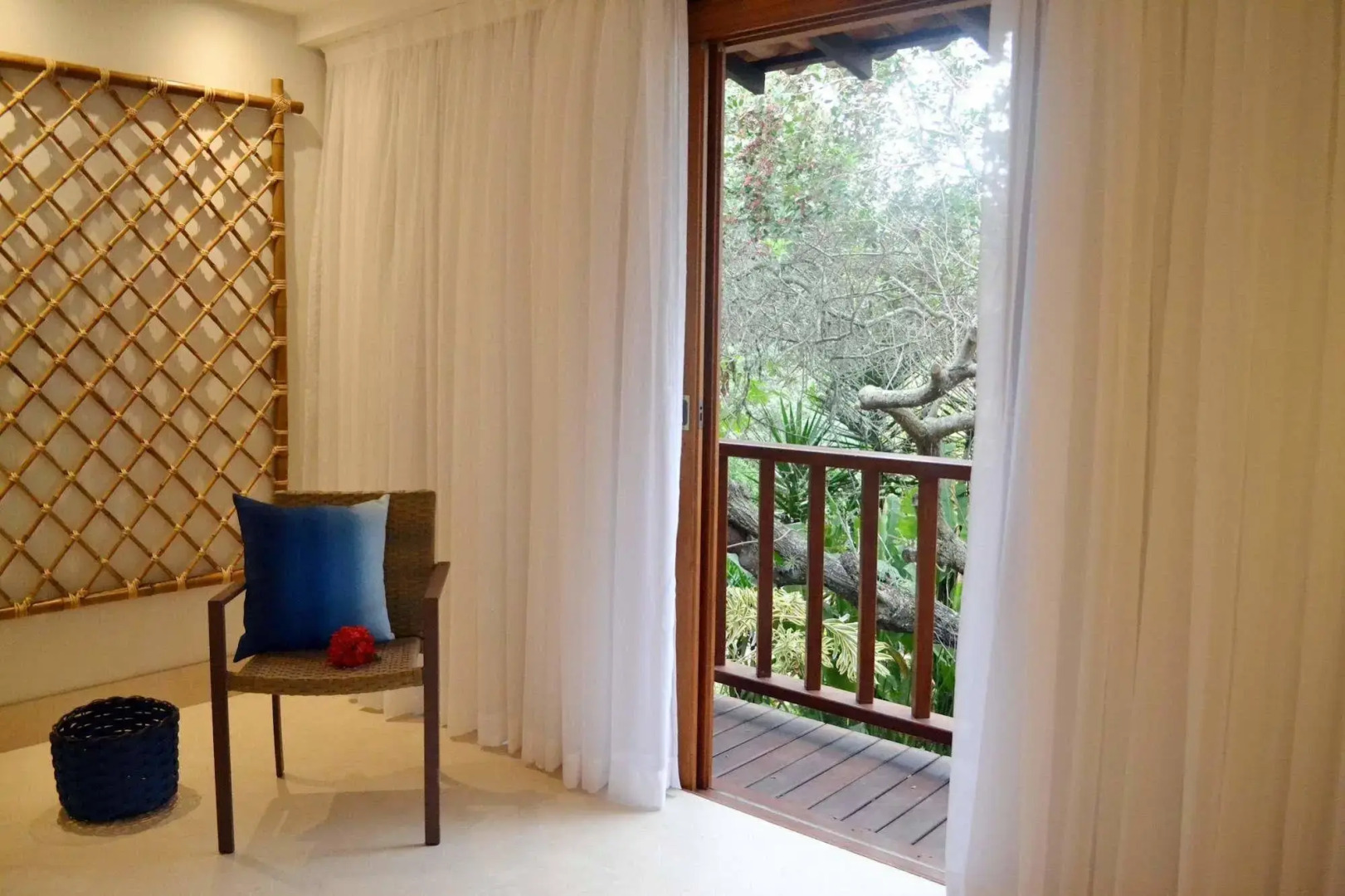 Foto - Corais e Conchas