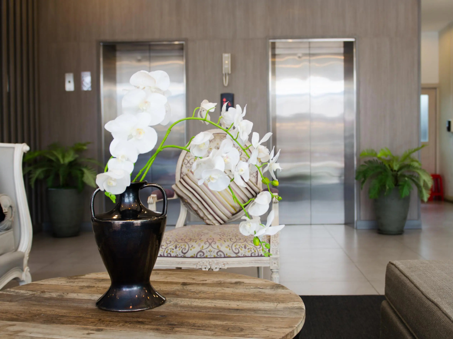 Foto - Mirage Express Patong Phuket Hotel