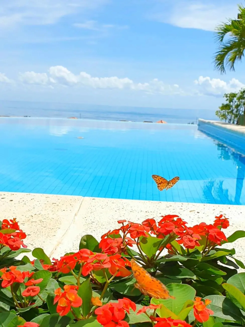 Foto - Hotel Santuário das Águias by Nobile