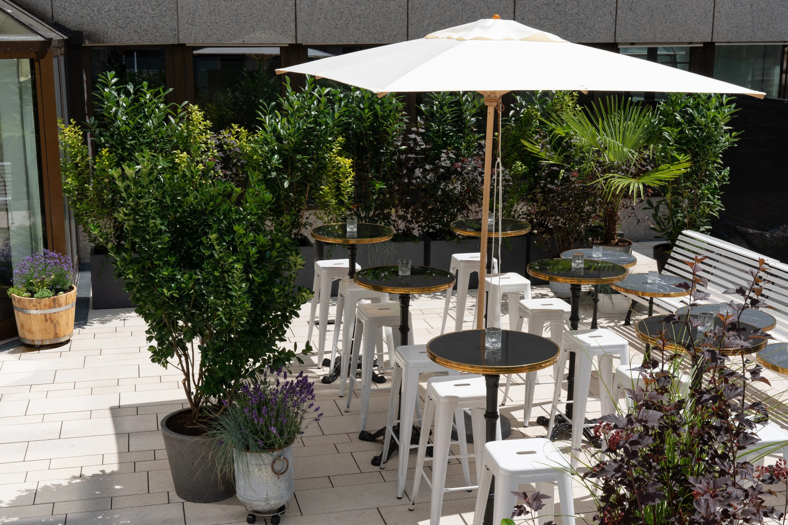 Foto - Ruby Coco Hotel Dusseldorf by IHG