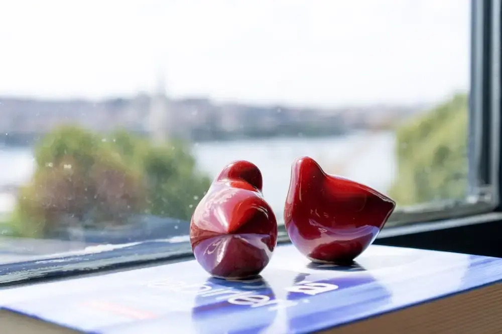 Foto - Han Residence Haliç