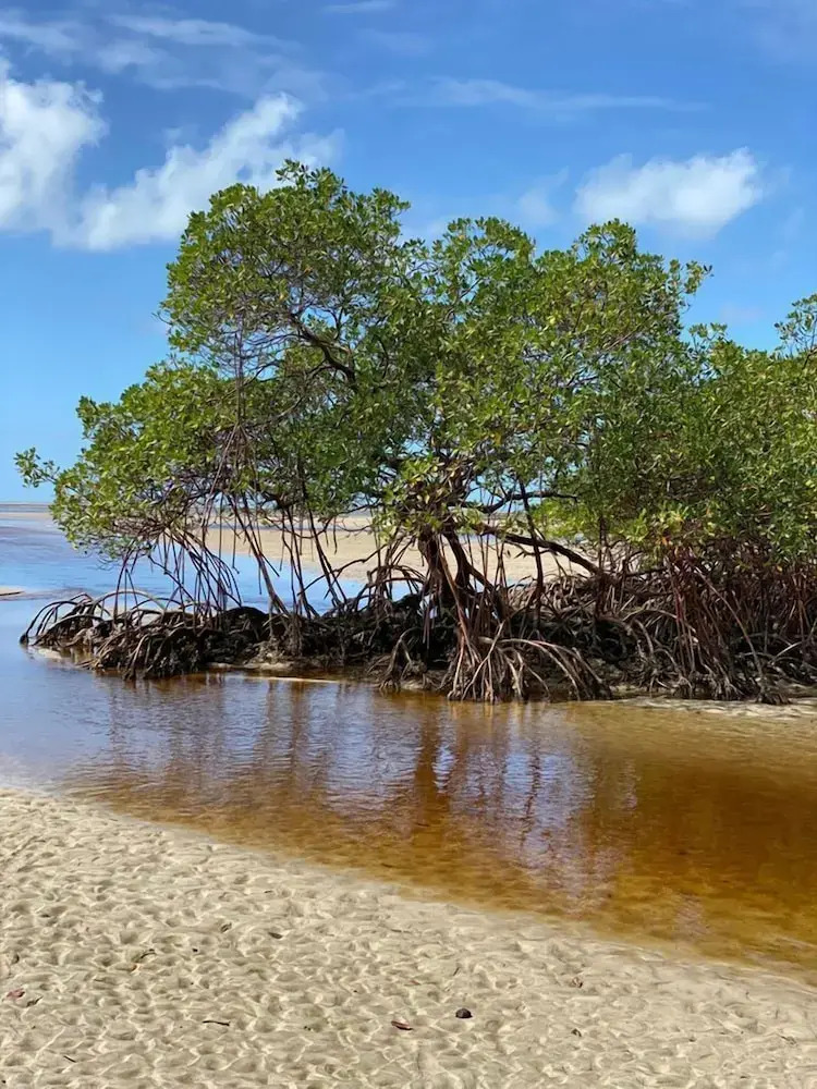 Foto - Hotel Villabosque Eco Boutique