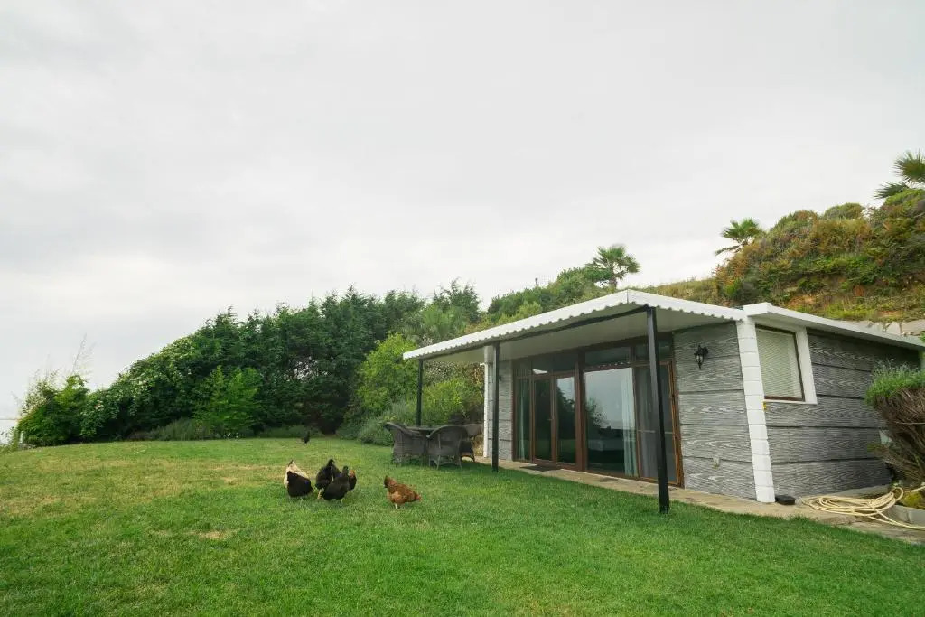 Photo - Palm Beach Şile Villa Hotels