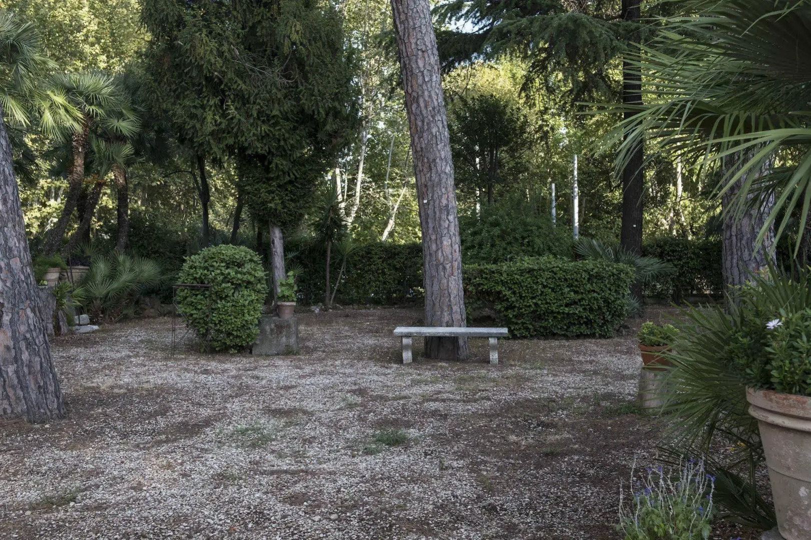 Foto - Villa Angelina