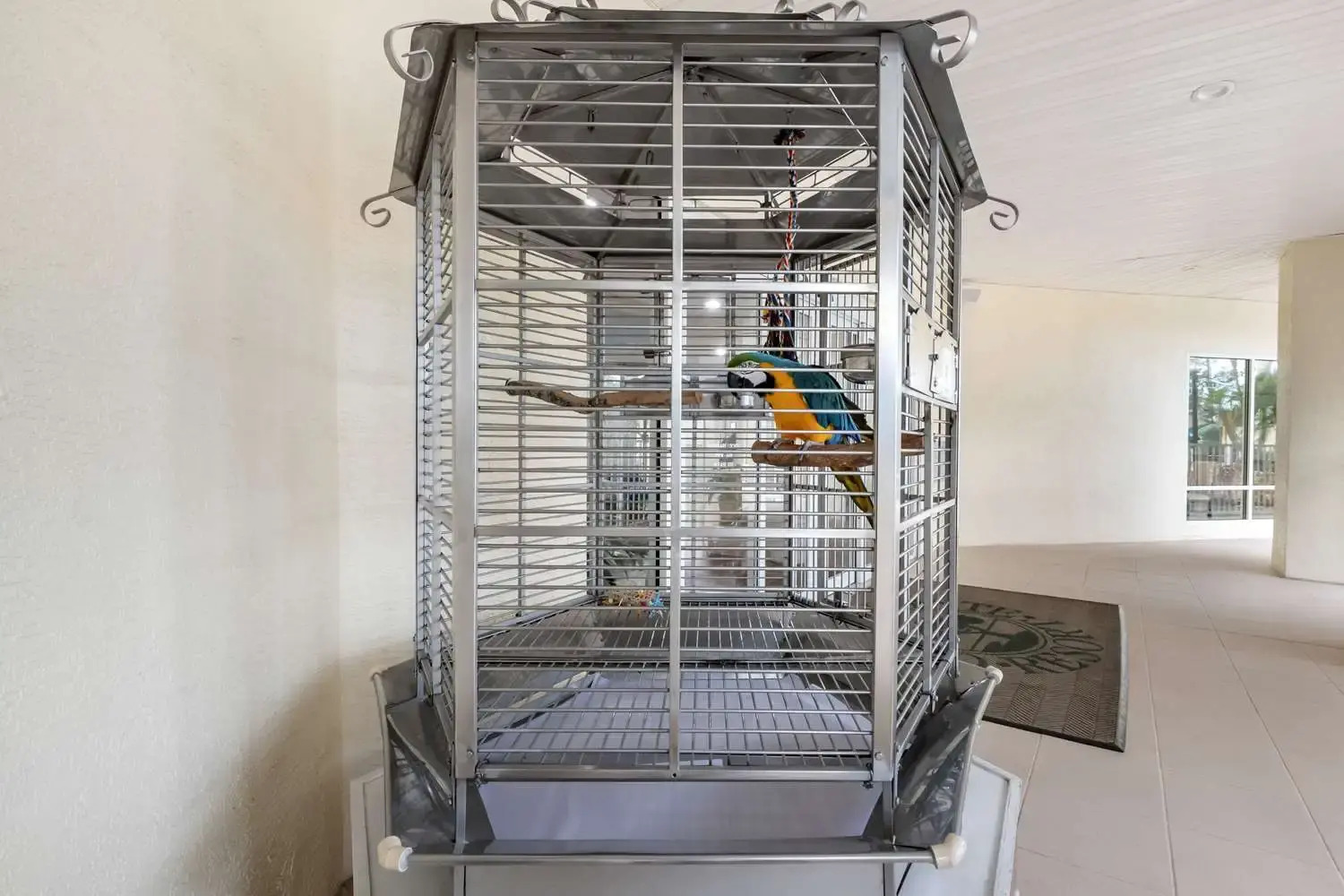 Foto - Hilton Vacation Club Cypress Pointe Orlando