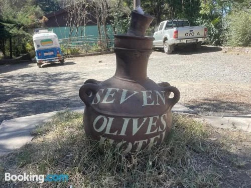 Seven Olives Hotel — фото 1