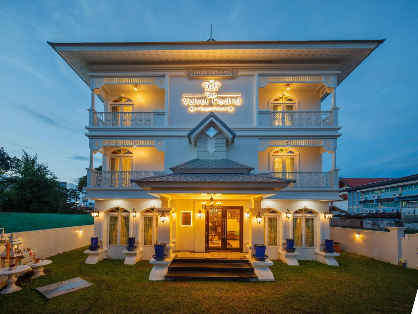 Foto - The Velvet Orchid