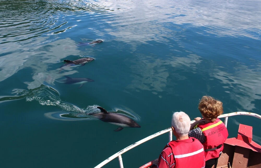 Foto - OCIO Territorial Hotel