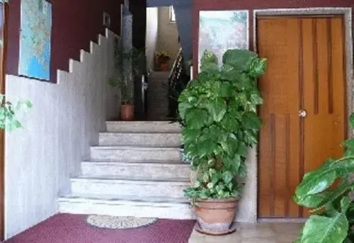 Foto - Residence Royal