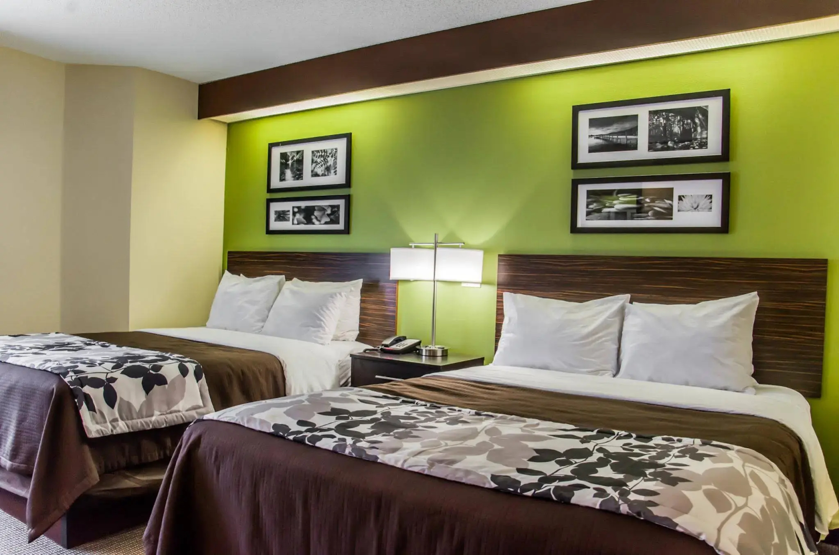 Foto - Sleep Inn Matthews-Charlotte