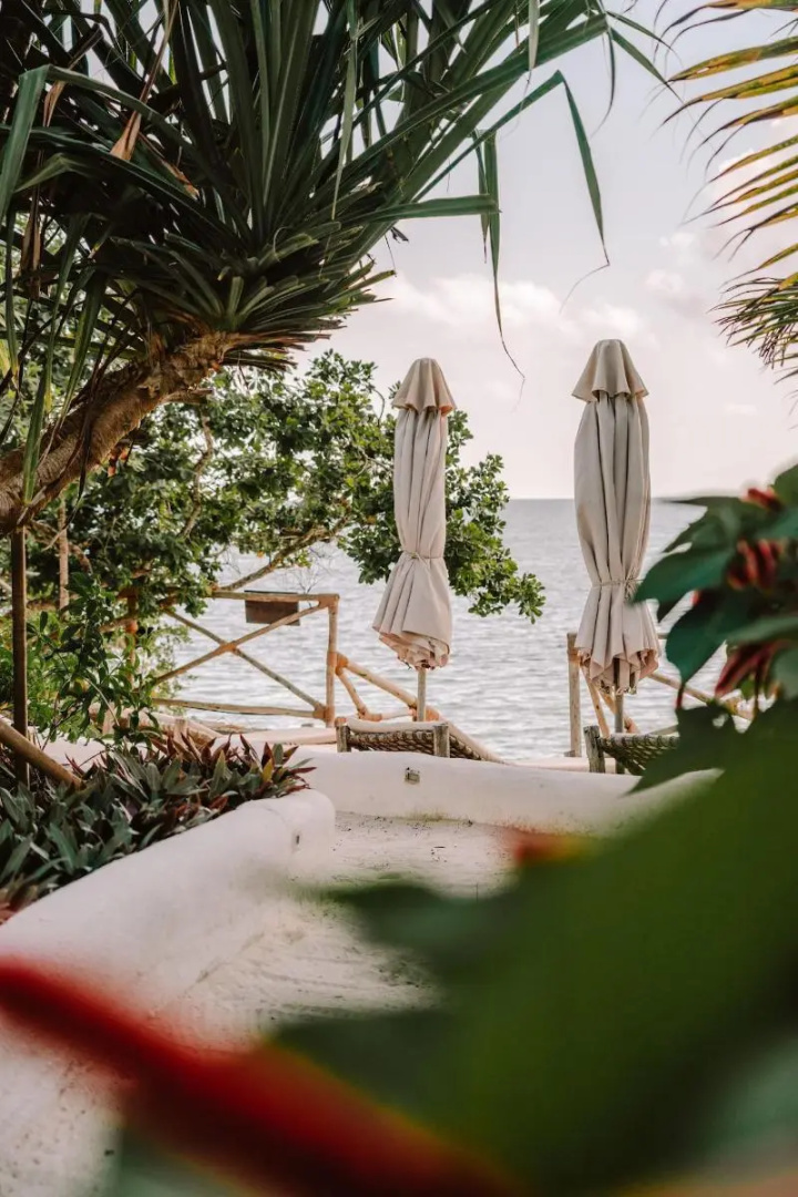 Foto - The Island - Pongwe Lodge - Adults Only
