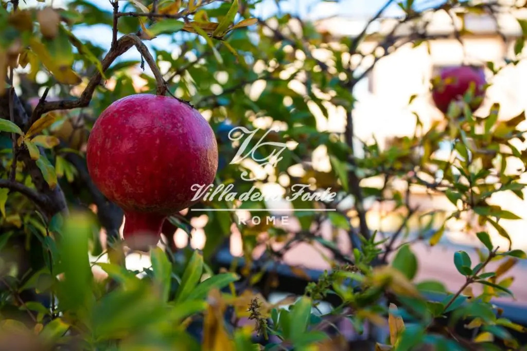 Foto - Villa della Fonte