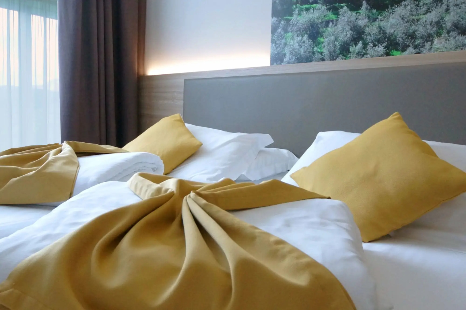 Foto - Ambassador Suite Hotel