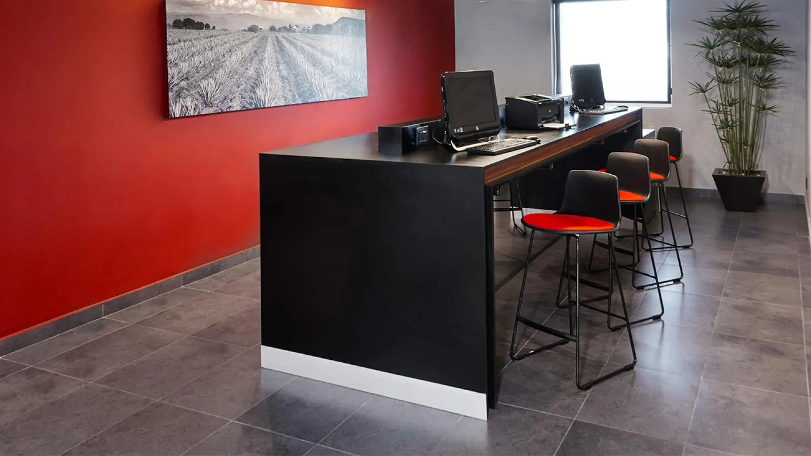 Foto - City Express Plus by Marriott Guadalajara Expo