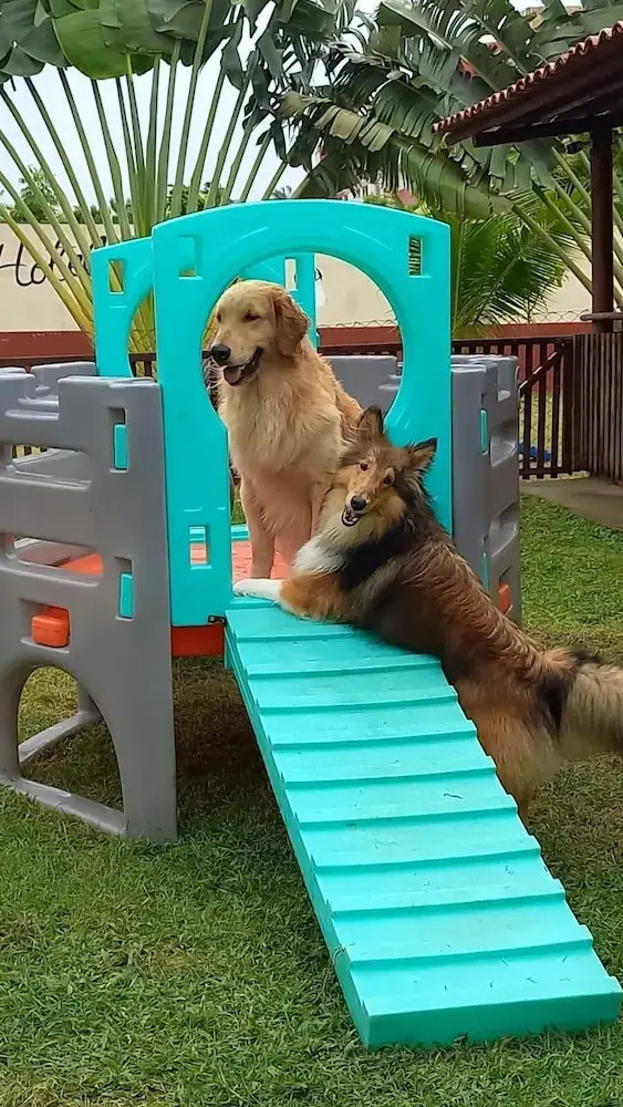 Foto - Hotel & Pousada Italia Beach - Porto Das Dunas