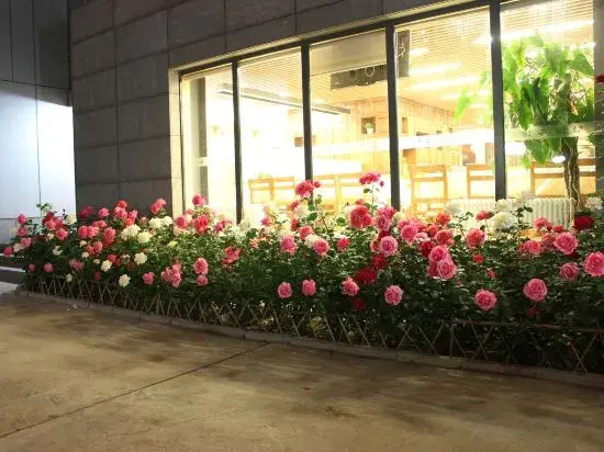 Foto - Hanting Hotel Beijing Zhongguancun National Library Subway Station (formerly Baishiqiao Branch)