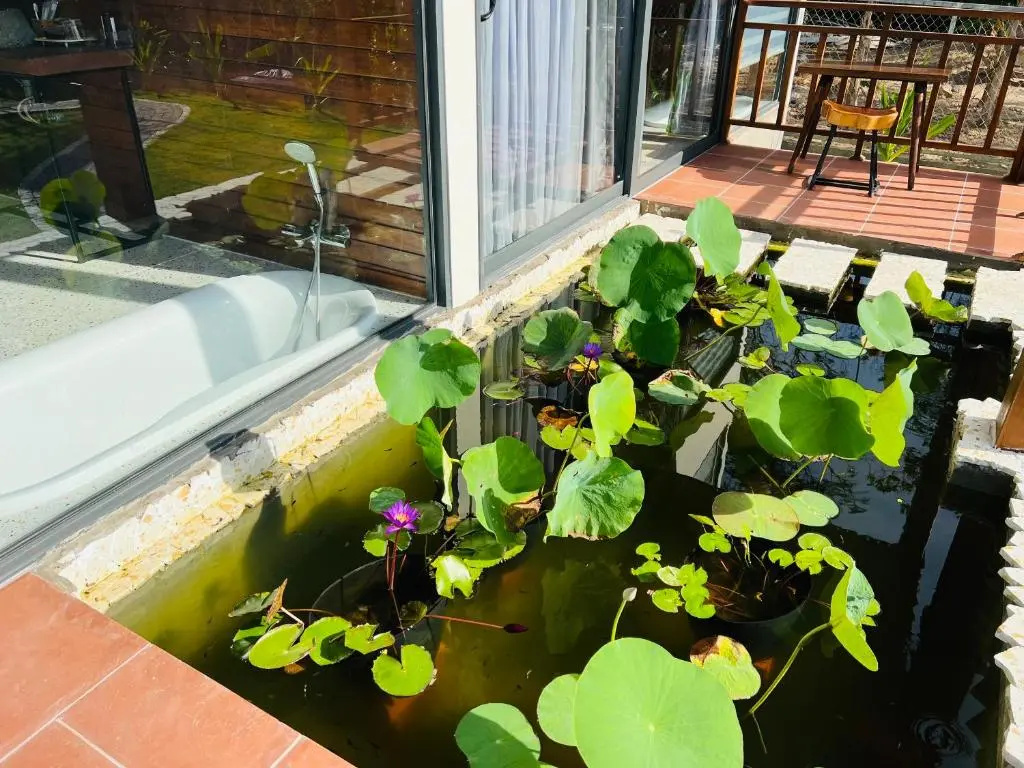 Foto - Lotus Home